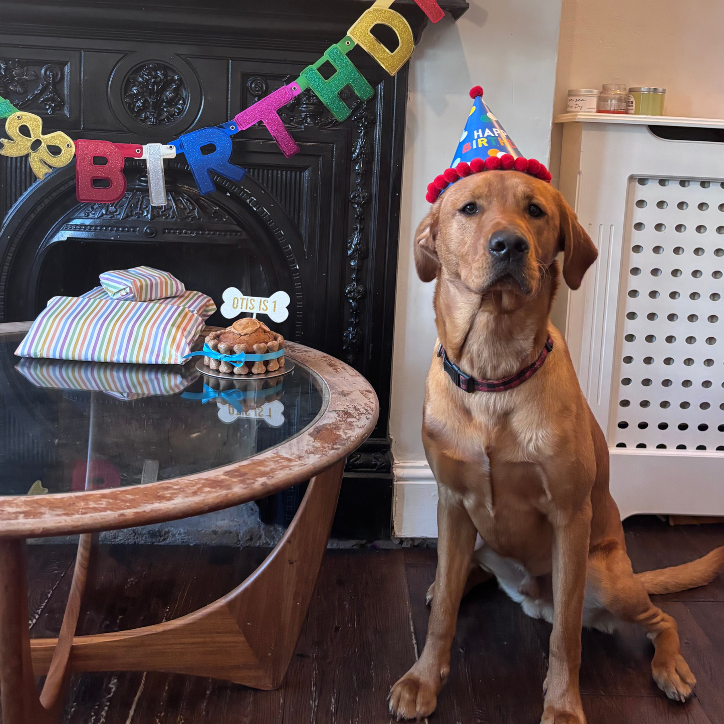 Doggie Birthday Cake
