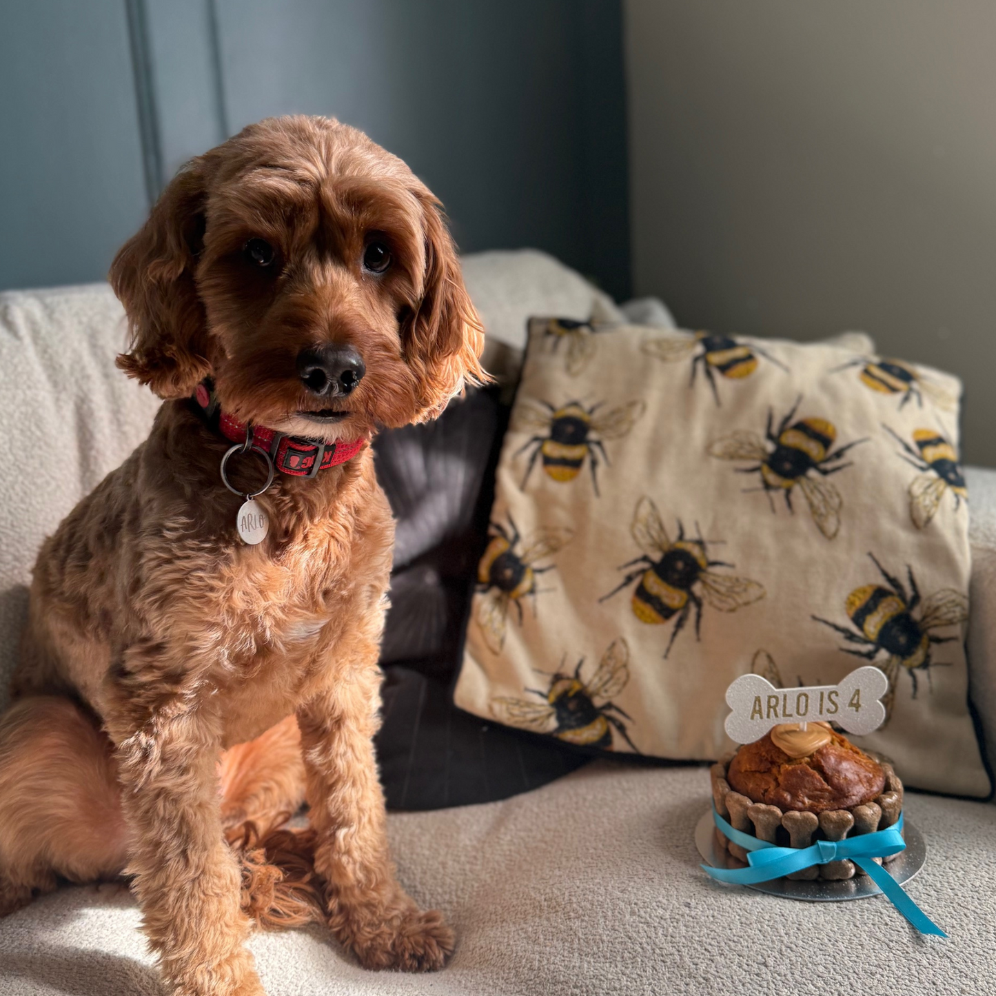 Doggie Birthday Cake