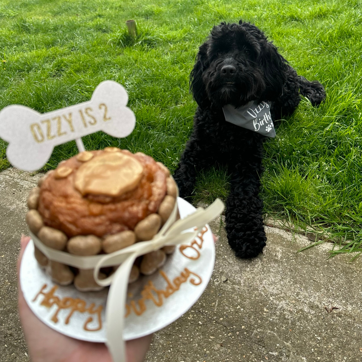 Doggie Birthday Cake