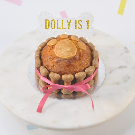 Doggie Birthday Cake