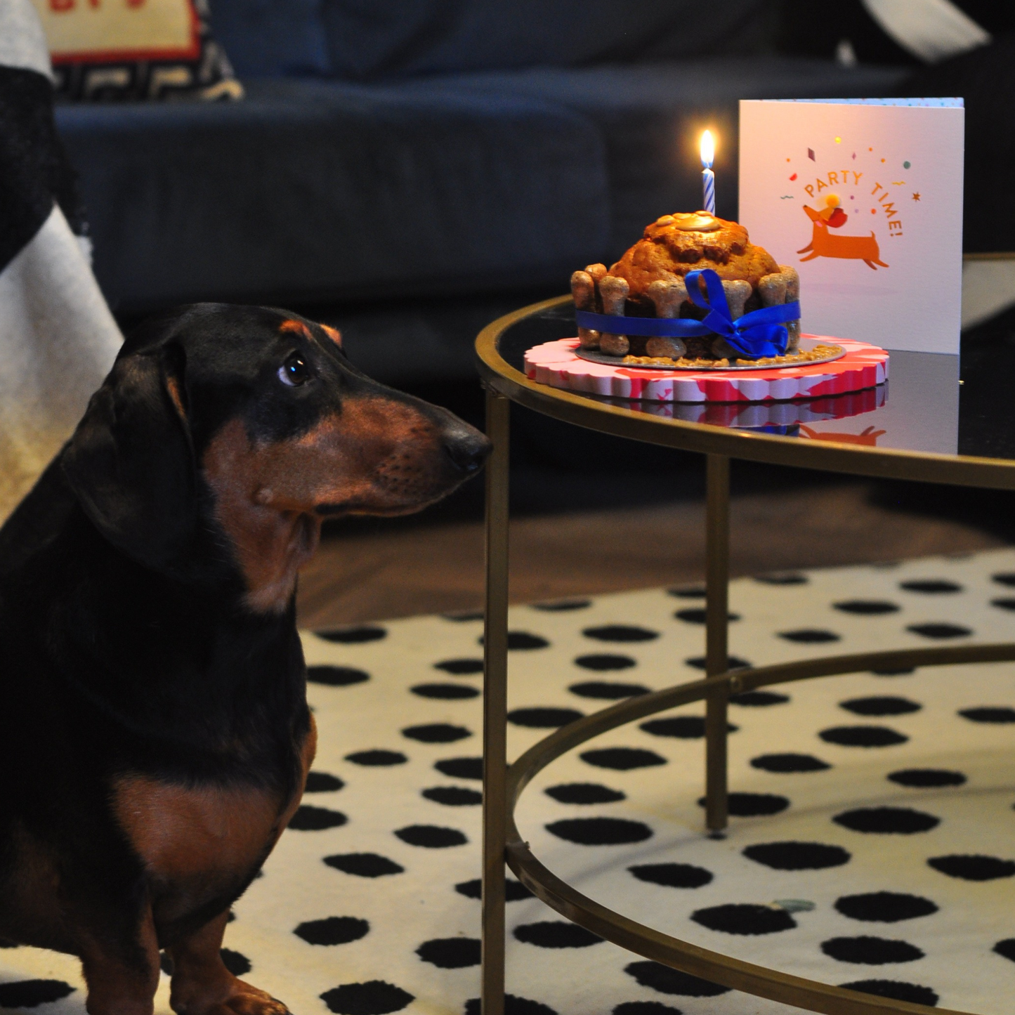 Doggie Birthday Cake